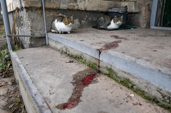 Russia Ukraine Military Operation Drone Attack