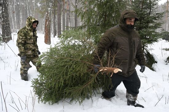 Russia Regions New Year Preparations