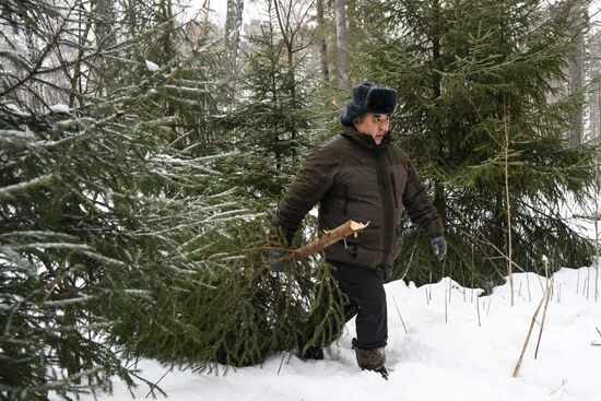Russia Regions New Year Preparations