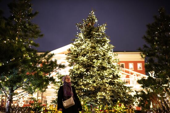 Russia Regions New Year Preparations