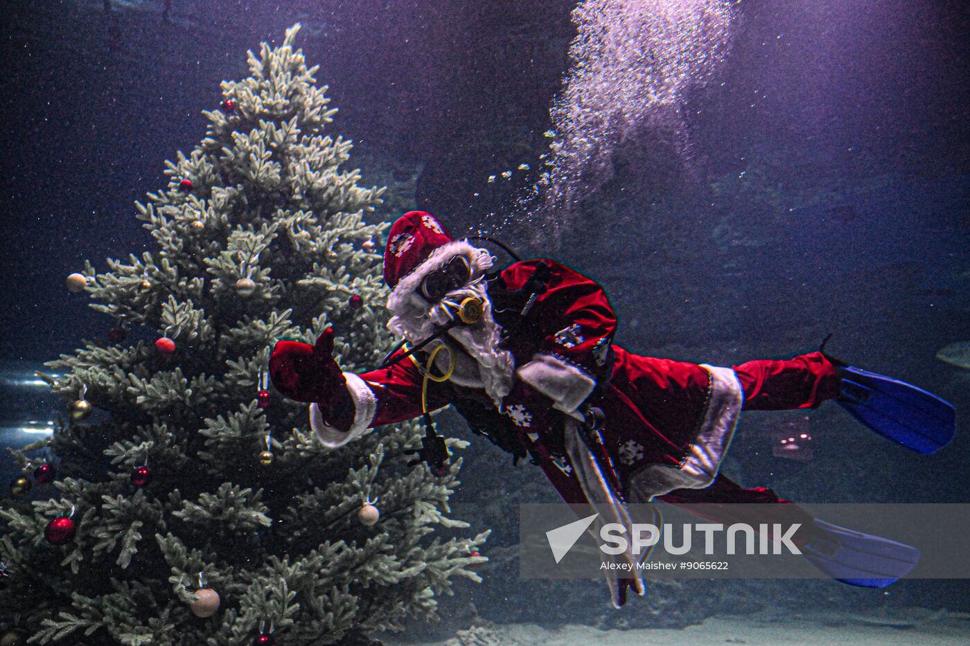 Russia New Year Season Father Frost Diver