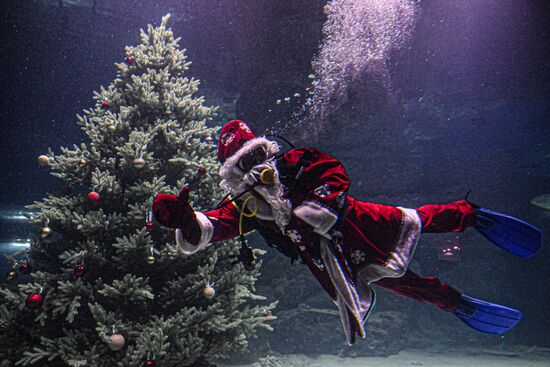 Russia New Year Season Father Frost Diver