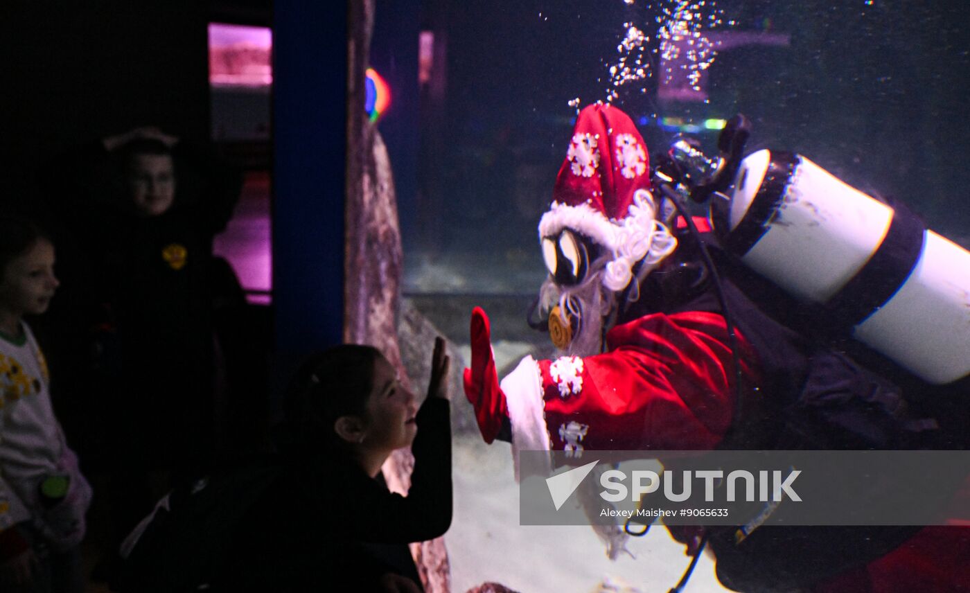 Russia New Year Season Father Frost Diver