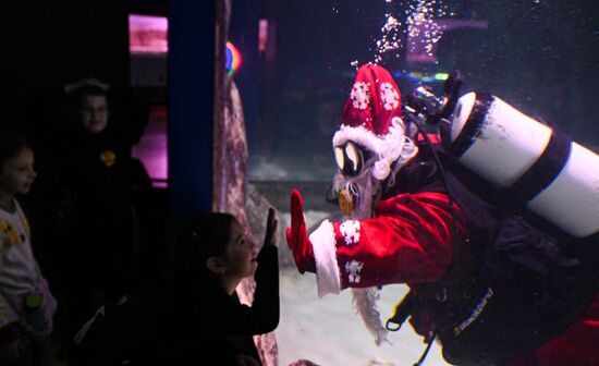 Russia New Year Season Father Frost Diver