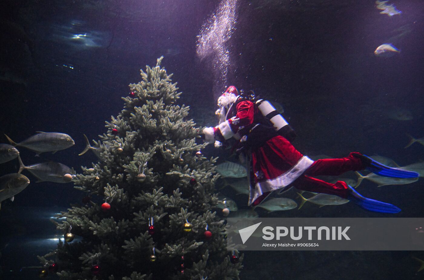 Russia New Year Season Father Frost Diver