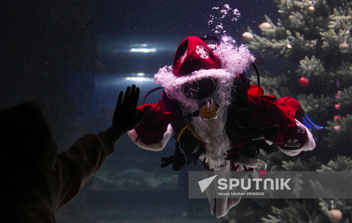 Russia New Year Season Father Frost Diver