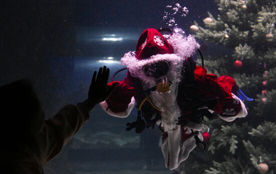 Russia New Year Season Father Frost Diver