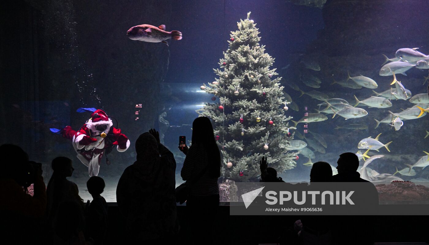 Russia New Year Season Father Frost Diver