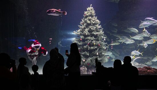 Russia New Year Season Father Frost Diver