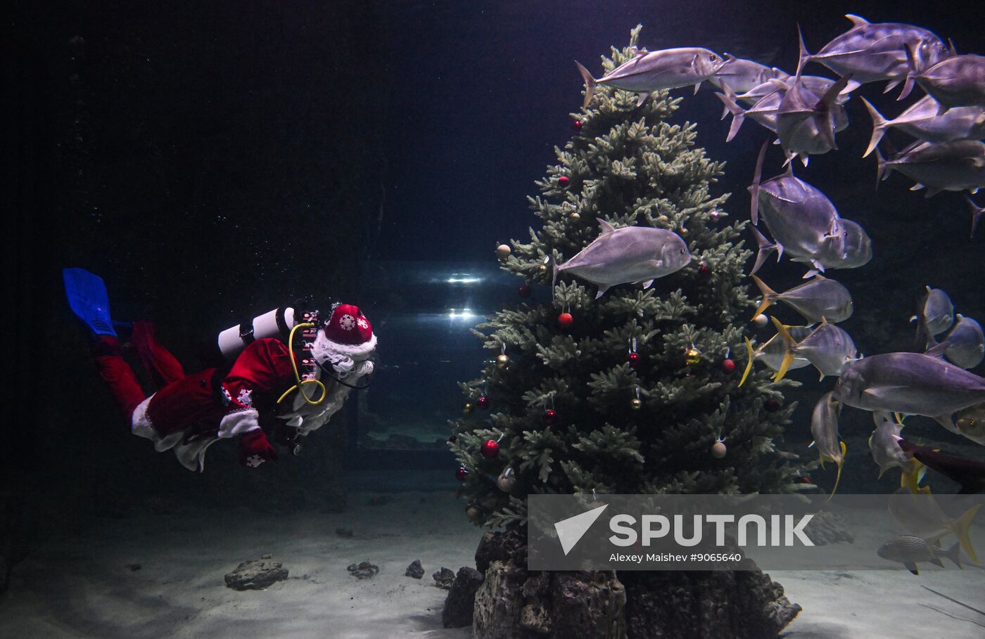 Russia New Year Season Father Frost Diver