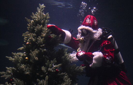 Russia New Year Season Father Frost Diver