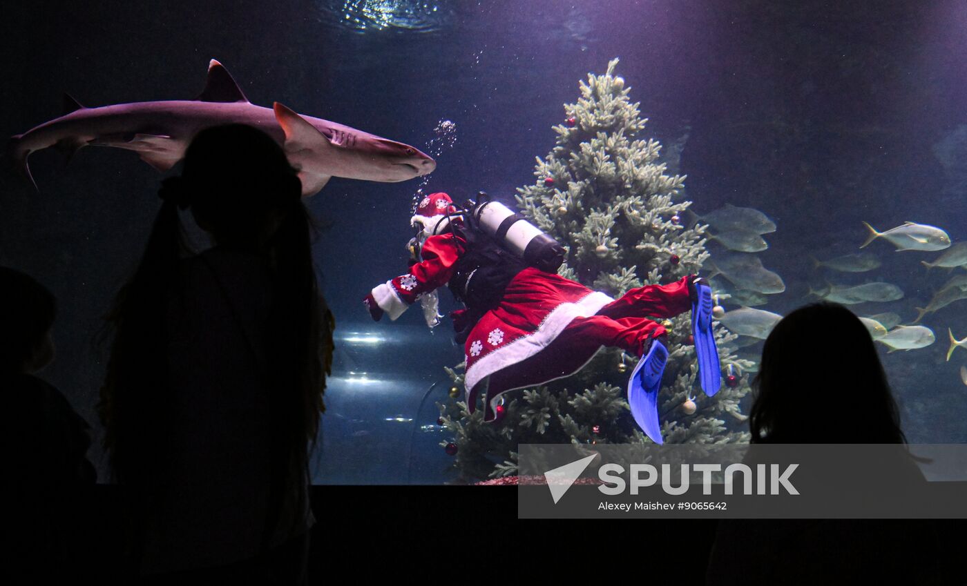 Russia New Year Season Father Frost Diver