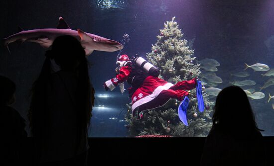 Russia New Year Season Father Frost Diver