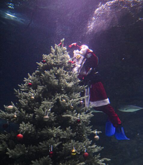 Russia New Year Season Father Frost Diver