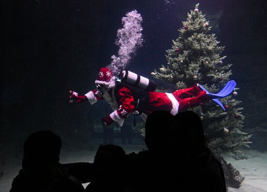 Russia New Year Season Father Frost Diver