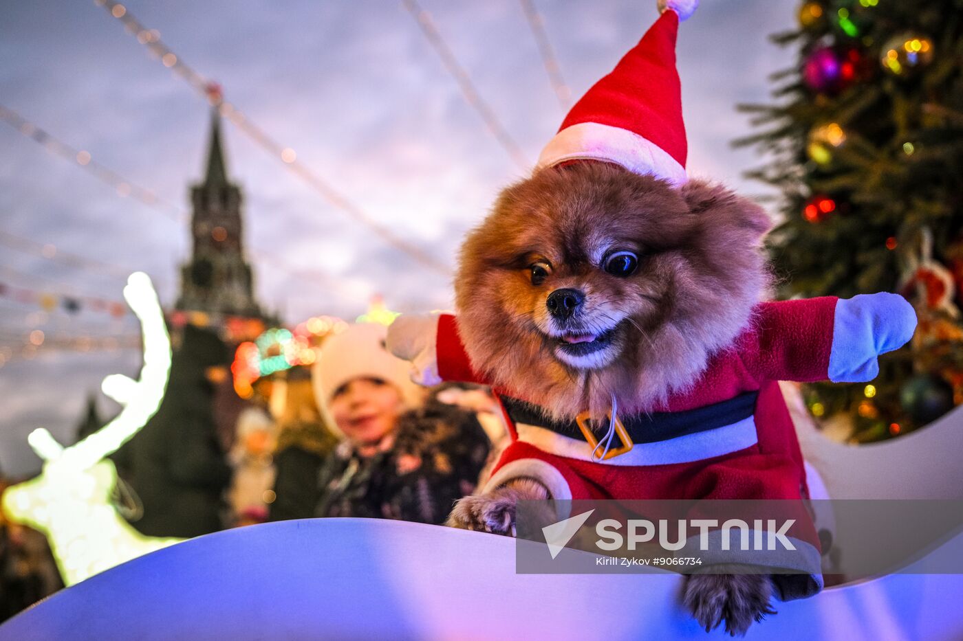 Russia Regions New Year Preparations