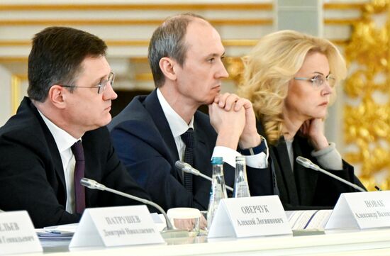 Russia Putin Strategic Development Council