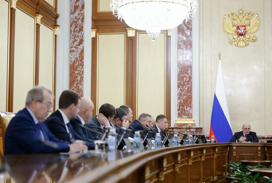 Russia Mishustin Government