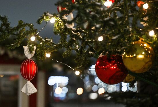 Russia Regions New Year Season Preparations