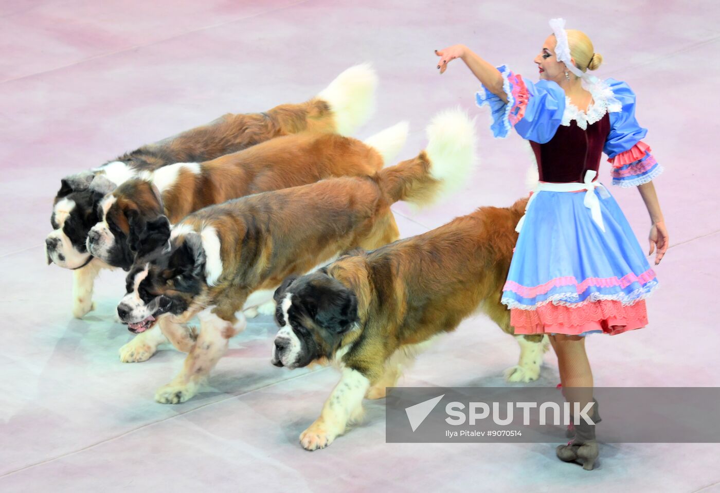 Russia Circus Snow White Show