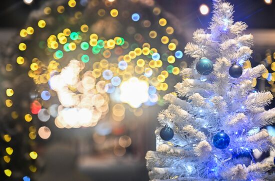 Russia Regions New Year Season Preparations