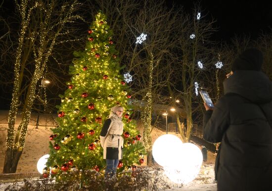 Russia Ryazan New Year Capital