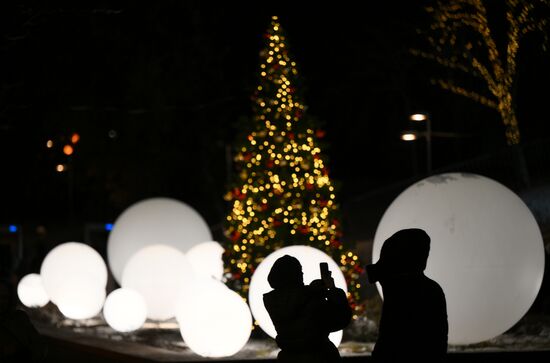 Russia Ryazan New Year Capital