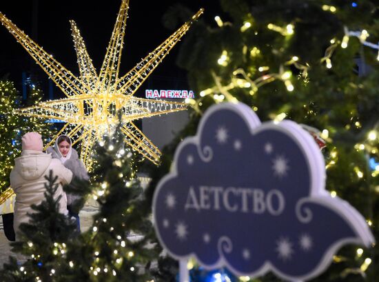 Russia Ryazan New Year Capital