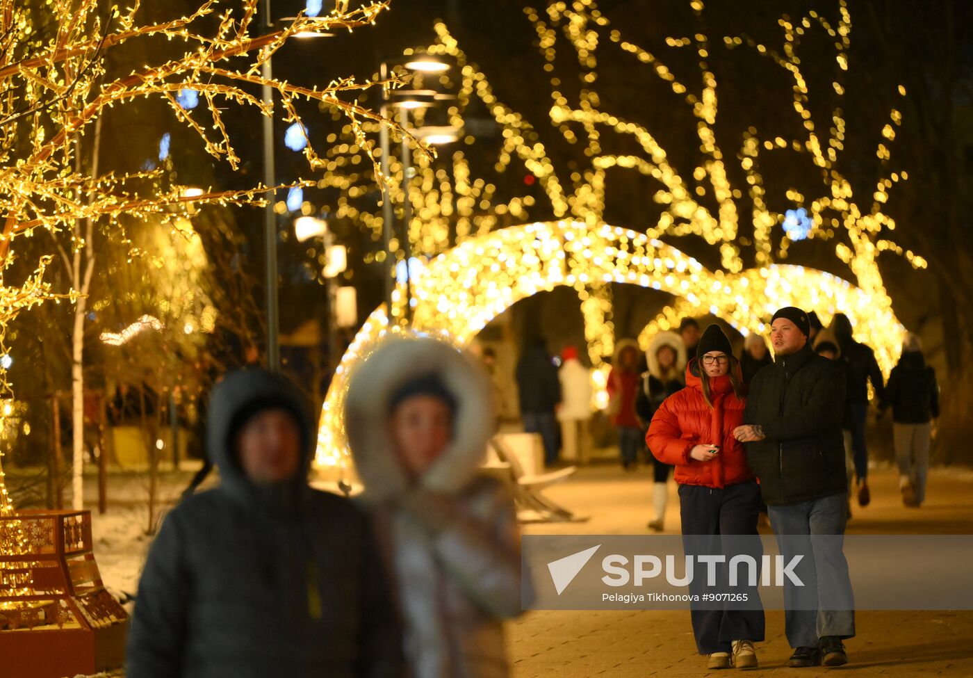 Russia Ryazan New Year Capital