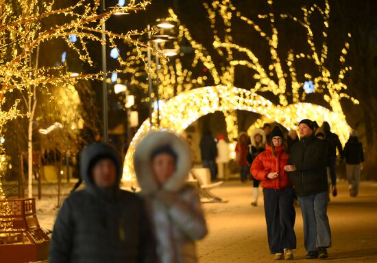 Russia Ryazan New Year Capital