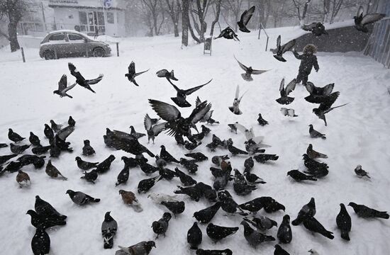 Russia Weather Vladivostok