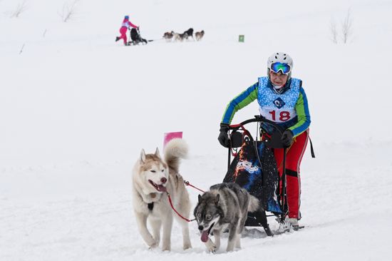 Russia Sled Dog Race