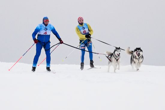 Russia Sled Dog Race