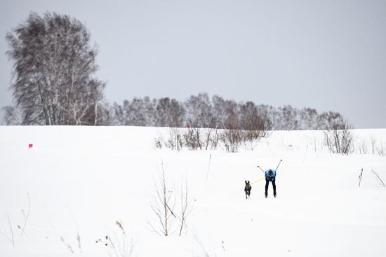 Russia Sled Dog Race