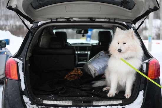 Russia Sled Dog Race