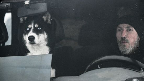 Russia Sled Dog Race
