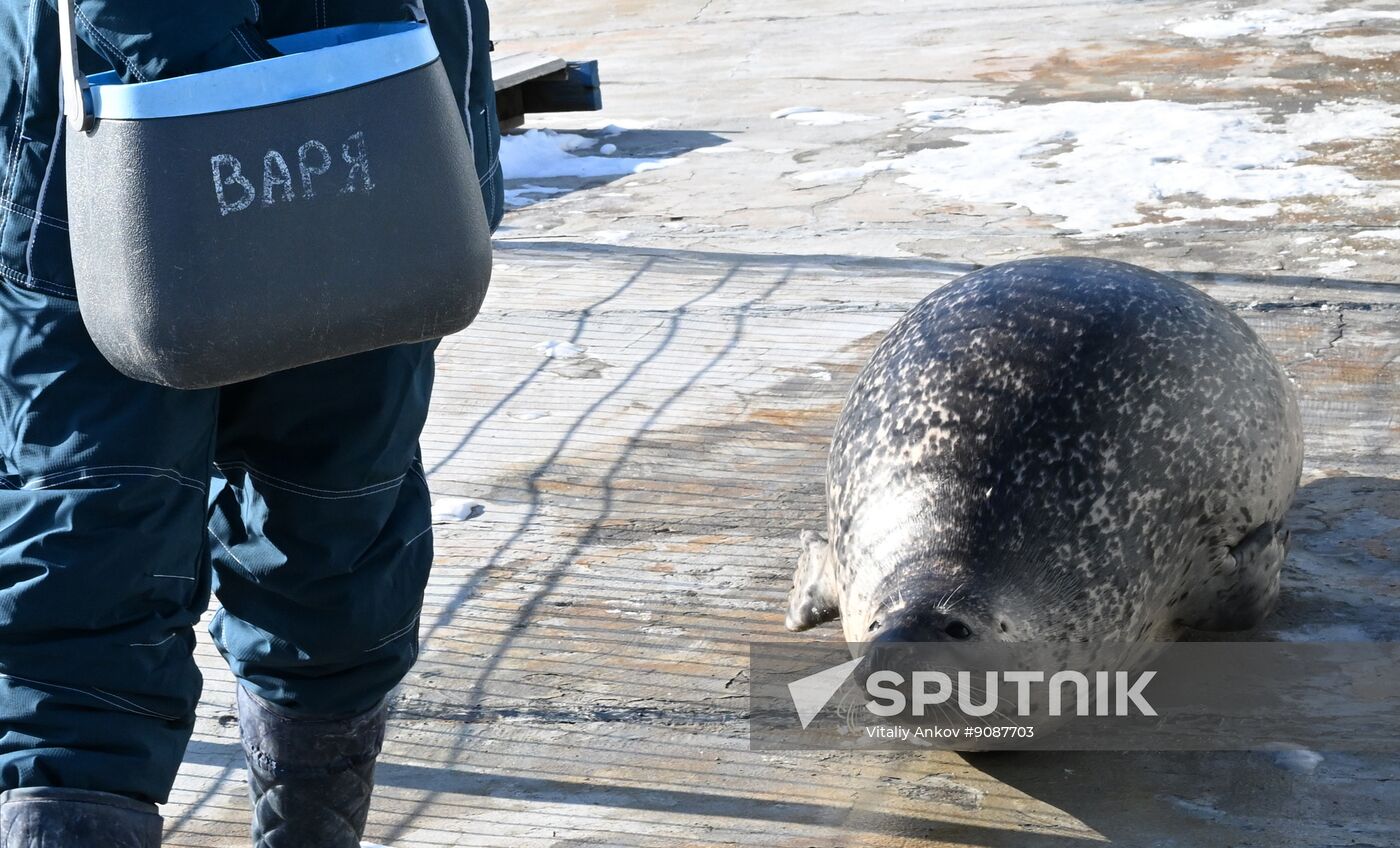 Russia Marine Mammal Research Base