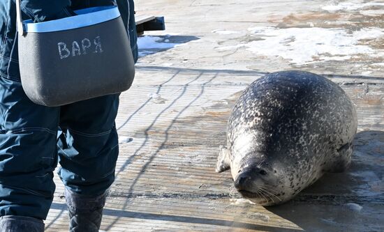 Russia Marine Mammal Research Base