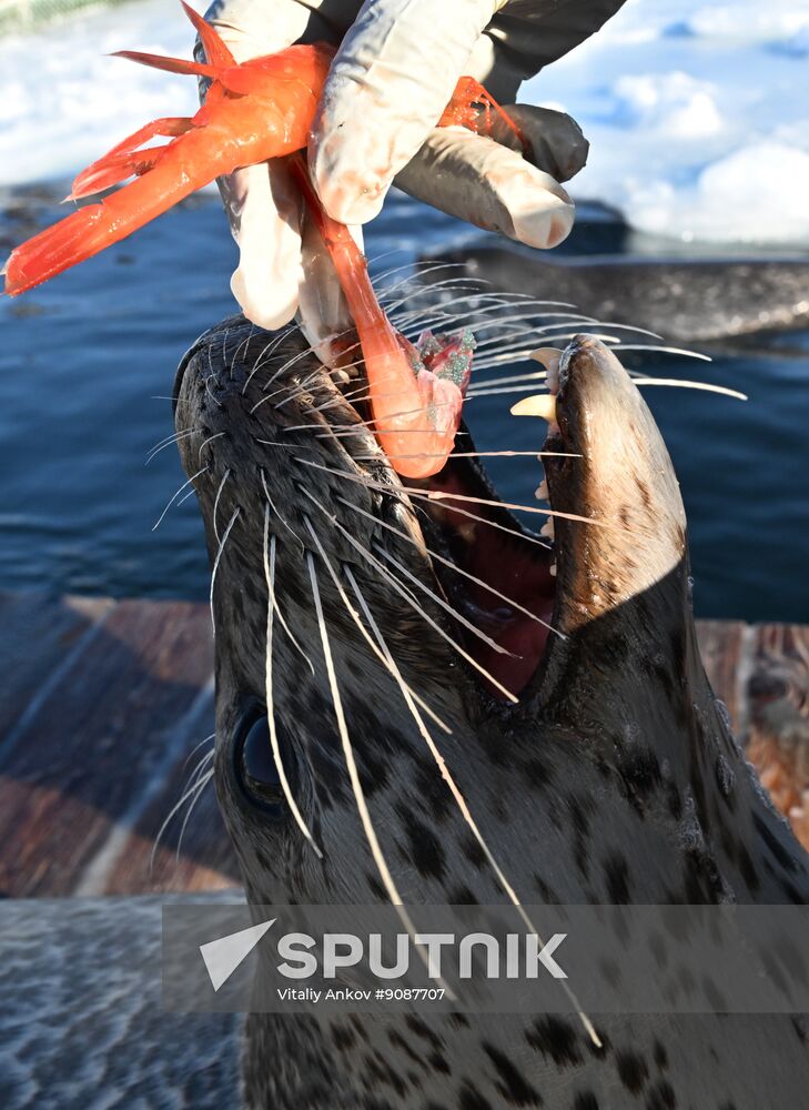 Russia Marine Mammal Research Base