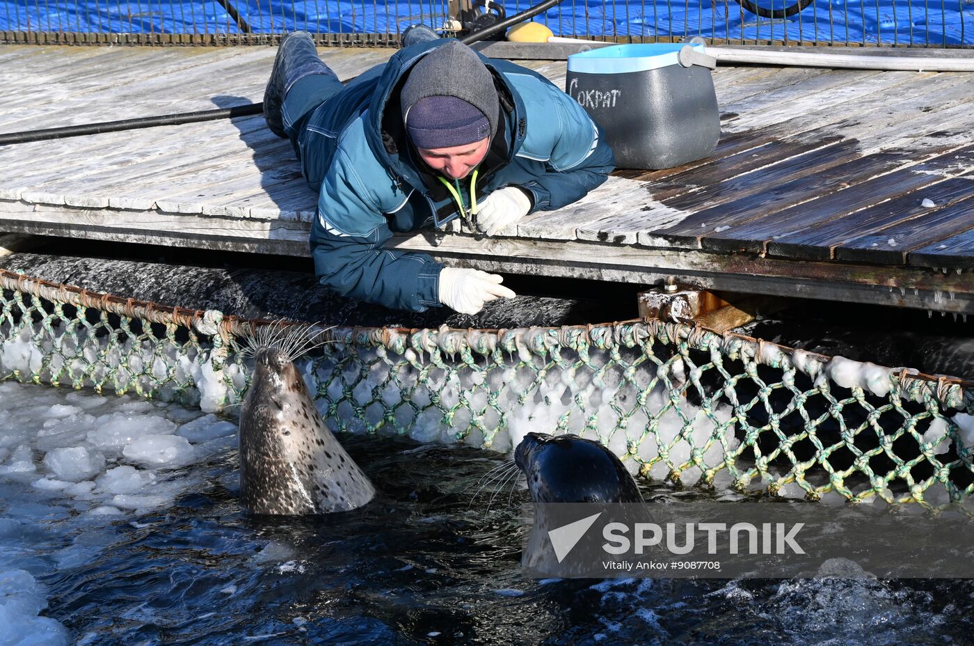 Russia Marine Mammal Research Base
