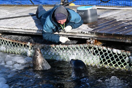 Russia Marine Mammal Research Base