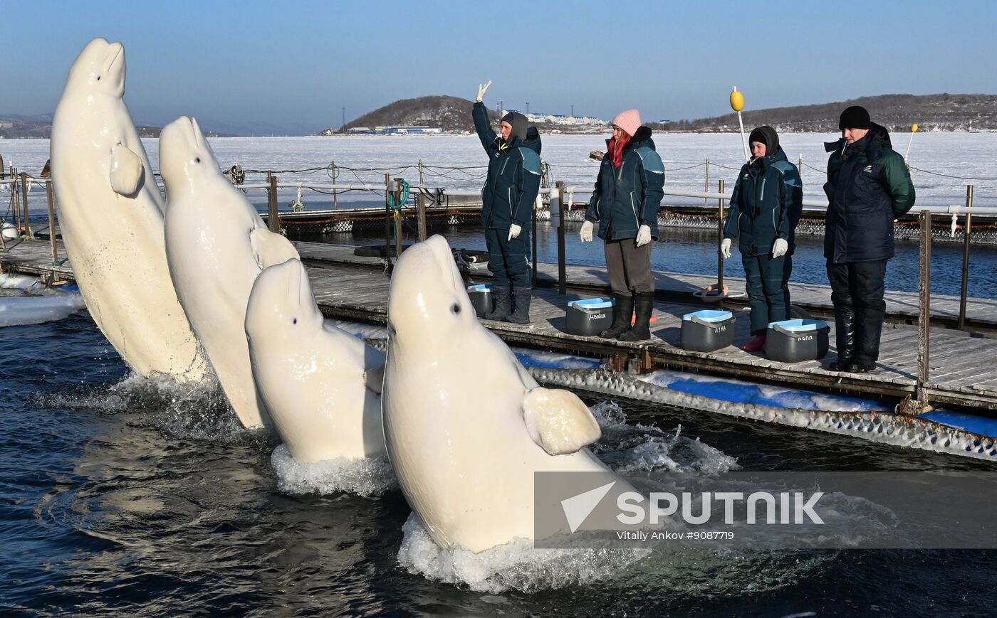 Russia Marine Mammal Research Base
