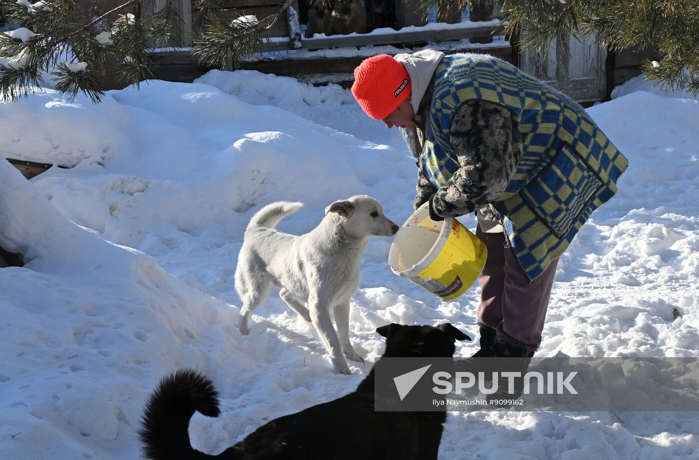 Russia Pet Shelter