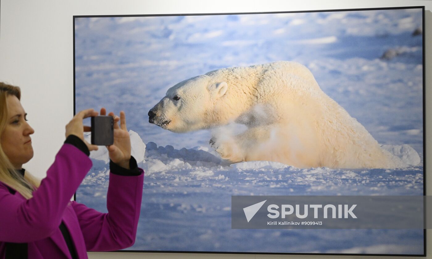 Russia Photography Nature Festival