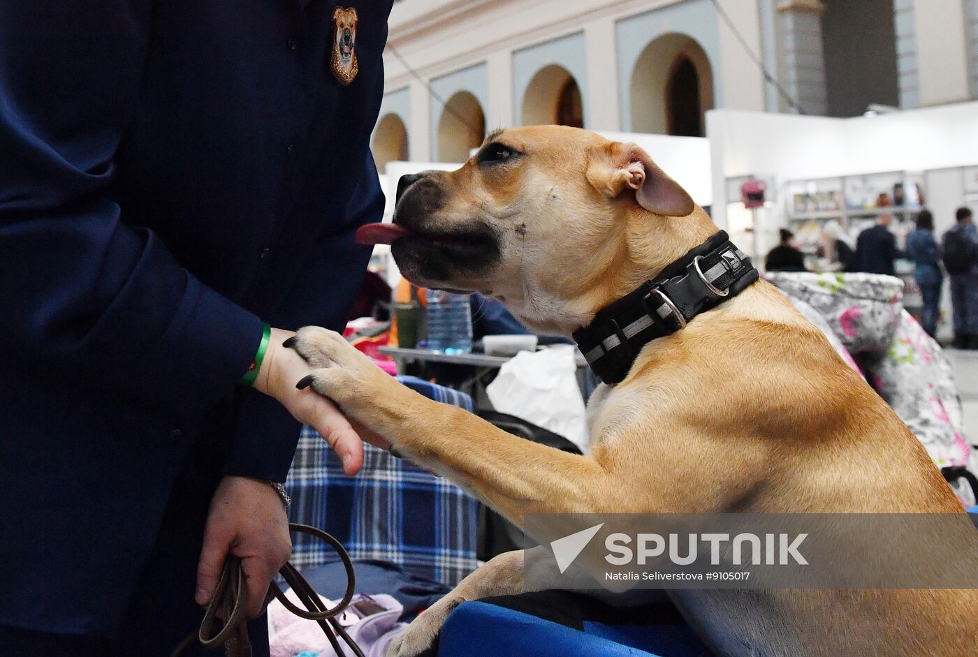 Russia Pets Show