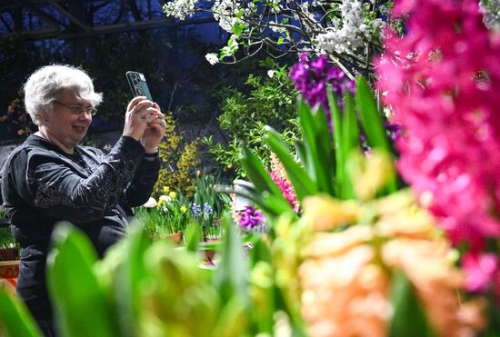 Russia Winter Flower Show