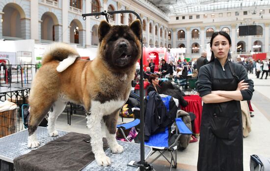 Russia Pets Show
