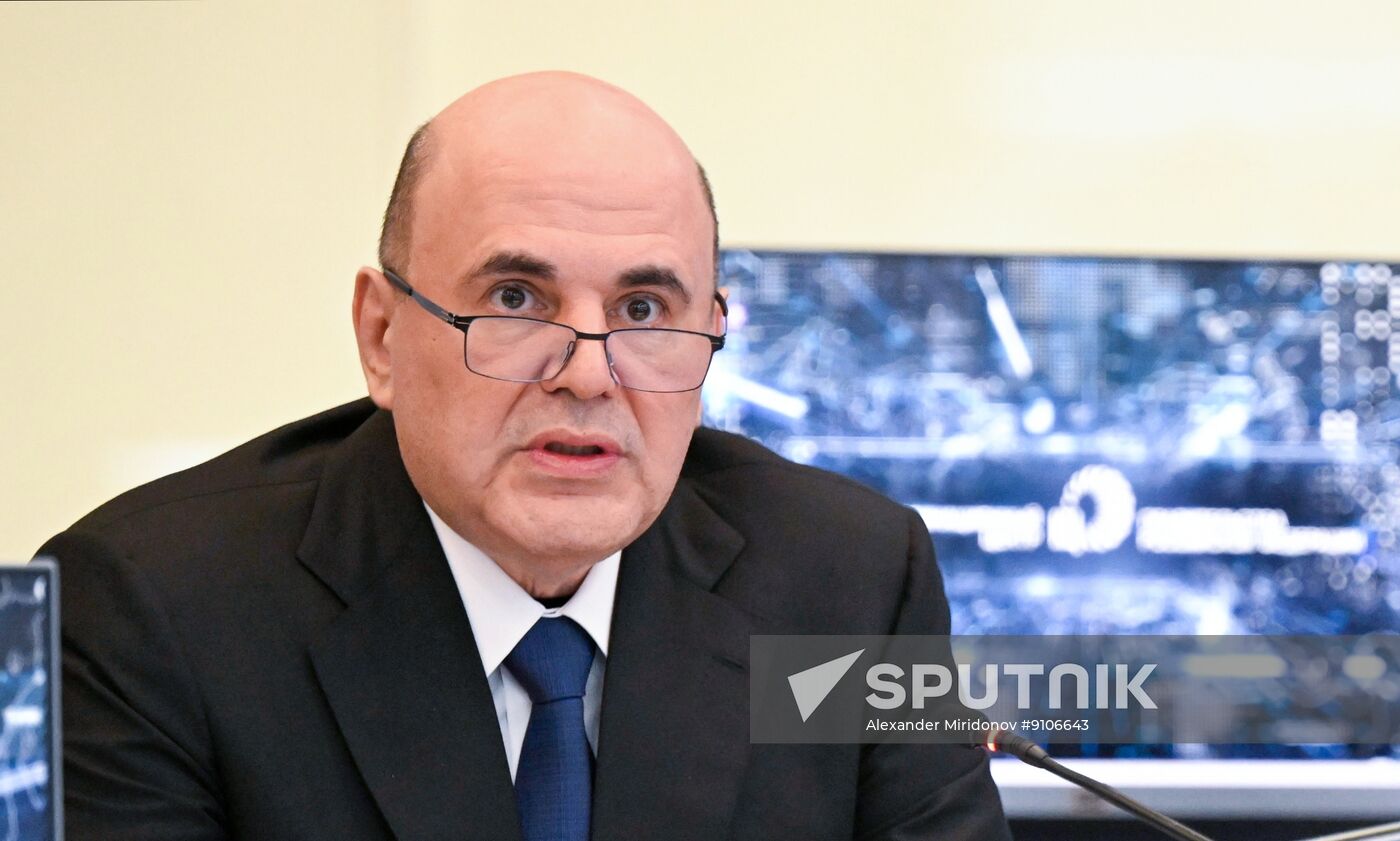 Russian Mishustin Platform Economy