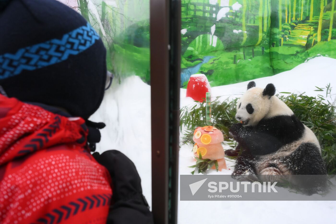 Russia Zoo Chinese New Year Celebrations