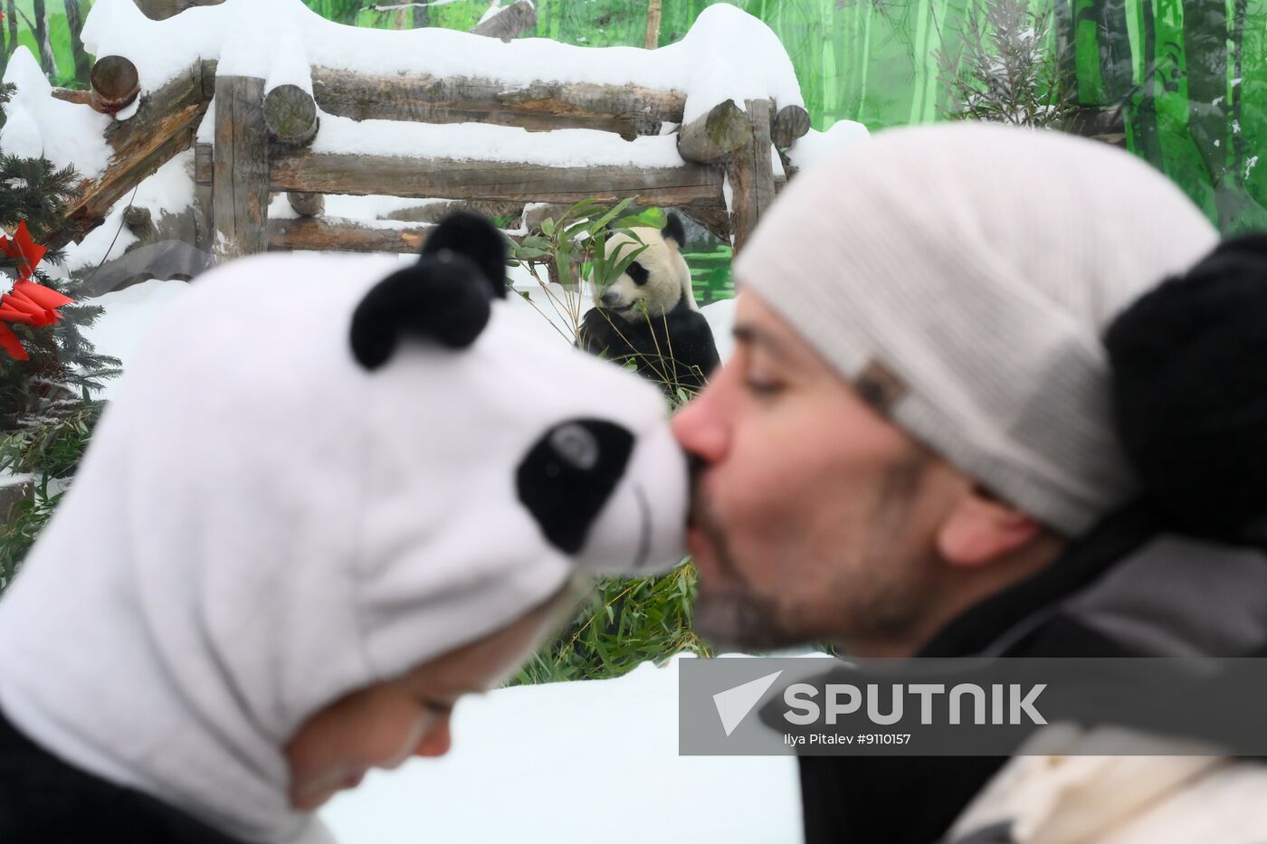 Russia Zoo Chinese New Year Celebrations